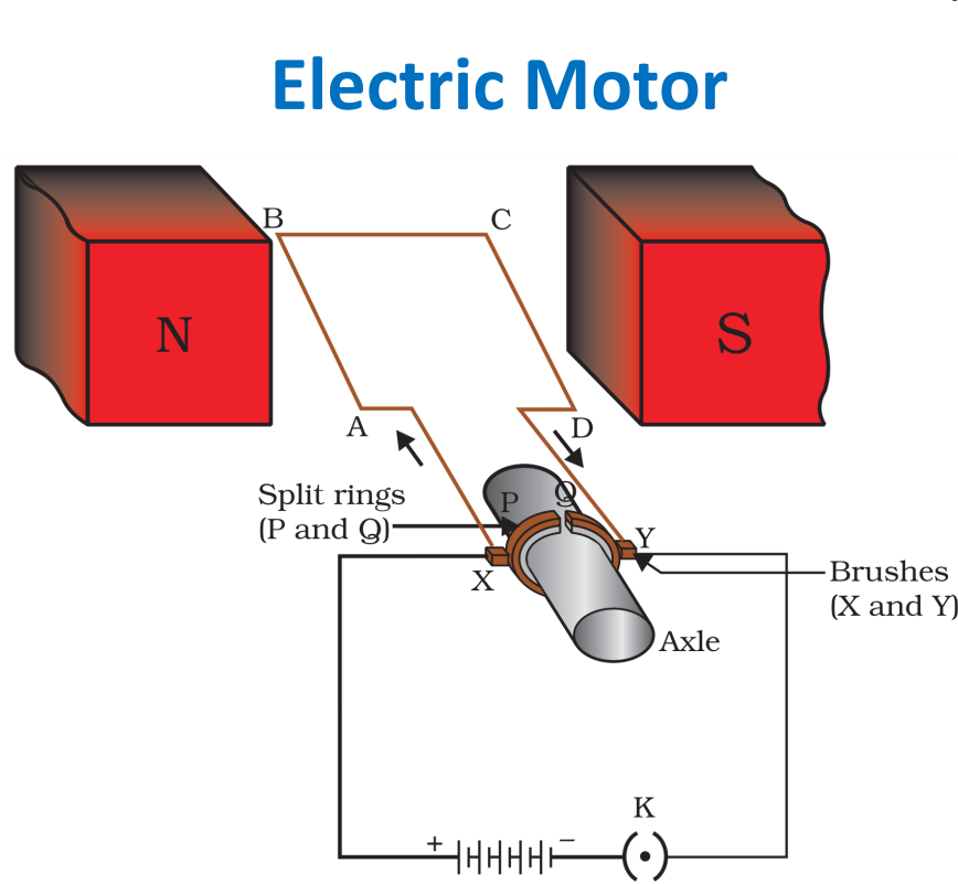 Electric Motor Principle, Working and Uses BrainIgniter